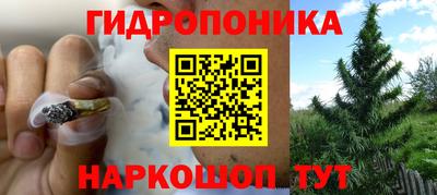 скорость Аргун