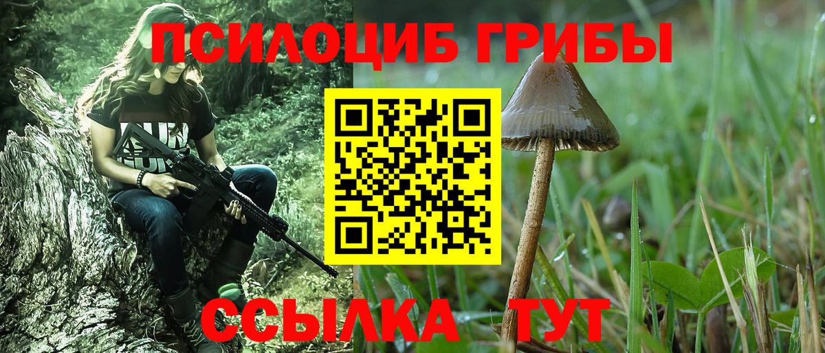 Псилоцибиновые грибы MAGIC MUSHROOMS  Рыбинск  Галлюциногенные грибы Psilocybe 