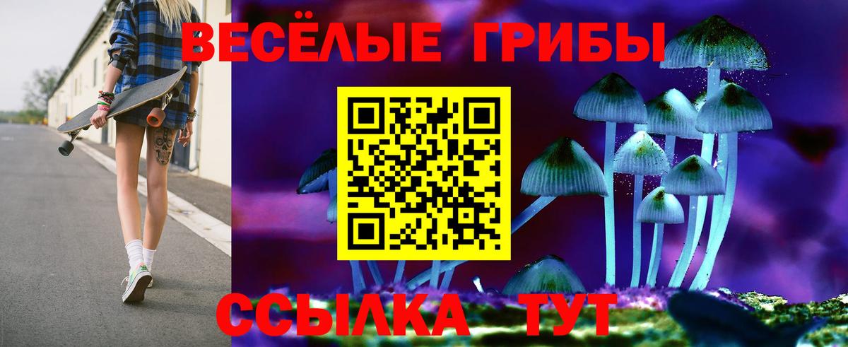Галлюциногенные грибы Psilocybe Рыбинск
